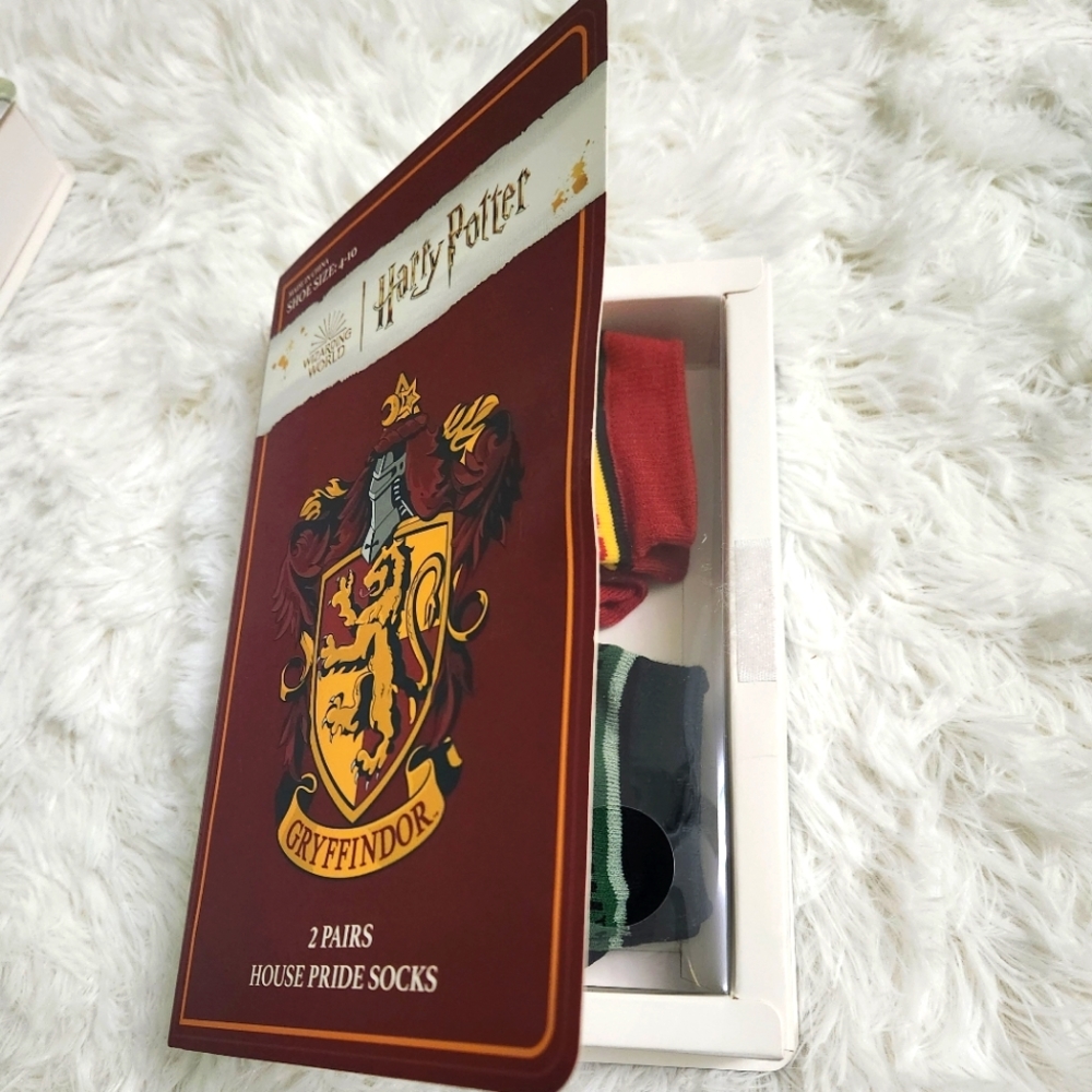 Harry Potter House Pride Socks